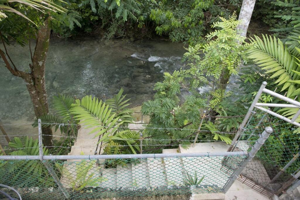 Idilio Escape Apartment Ocho Rios Bagian luar foto